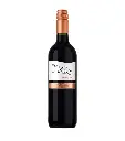 Sangiovese Terre Allegre - Cielo - 750ml 